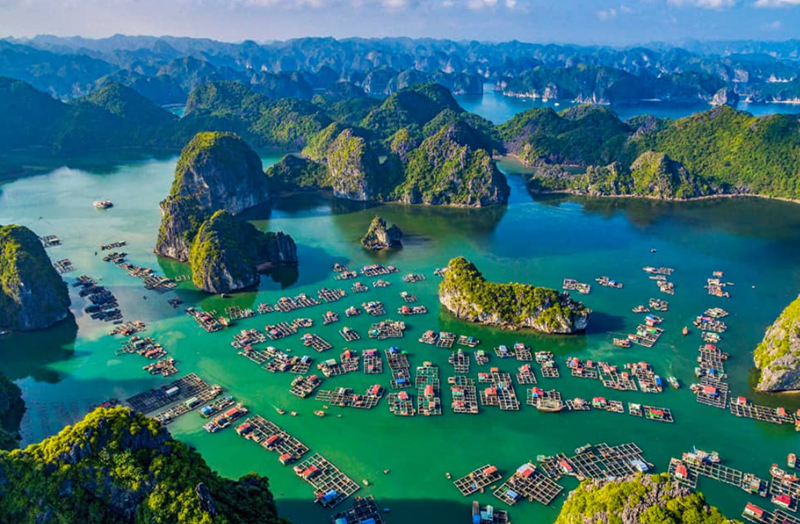 
diem-tham-quan-ha-noi-2025-top-8-diem-tham-quan-du-lich-duoc-de-xuat-chi-tiet-cung-ku11-net